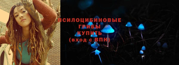 apvp Арсеньев