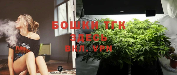 гашик Новокубанск